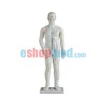 Μοντέλο Ανδρός Εκπαιδευτικό Ανδρικό Πρόπλασμα Βελονισμού με Βελονιστικά Σημεία και Μεσημβρινούς - Προπλάσματα/ Ιατρικοί Χάρτες στο eShopmed