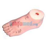 Μοντέλο Ποδιού Εκπαιδευτικό Πρόπλασμα Βελονισμού με Βελονιστικά Σημεία - Προπλάσματα/ Ιατρικοί Χάρτες στο eShopmed