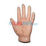 Μοντέλο Χεριού Εκπαιδευτικό Πρόπλασμα Βελονισμού με Βελονιστικά Σημεία - Προπλάσματα/ Ιατρικοί Χάρτες στο eShopmed