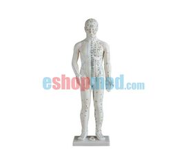 Μοντέλο Ανδρός Εκπαιδευτικό Ανδρικό Πρόπλασμα Βελονισμού με Βελονιστικά Σημεία και Μεσημβρινούς - Προπλάσματα/ Ιατρικοί Χάρτες στο eShopmed